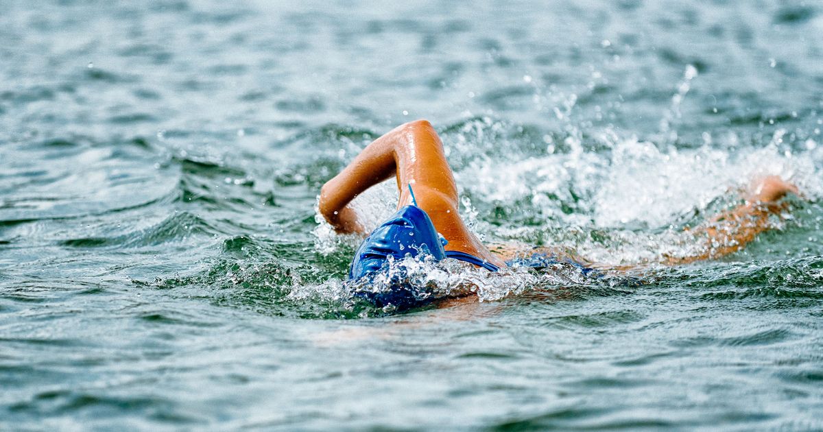 Diary of an open water swimmer - Wild about swimming and Great