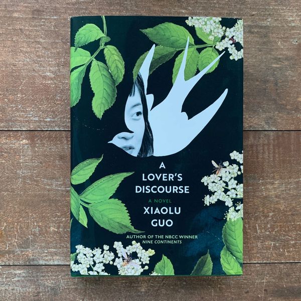 A Lover’s Discourse by Xiaolu Guo