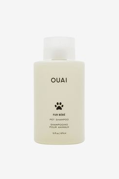 Designer dog outlet shampoo