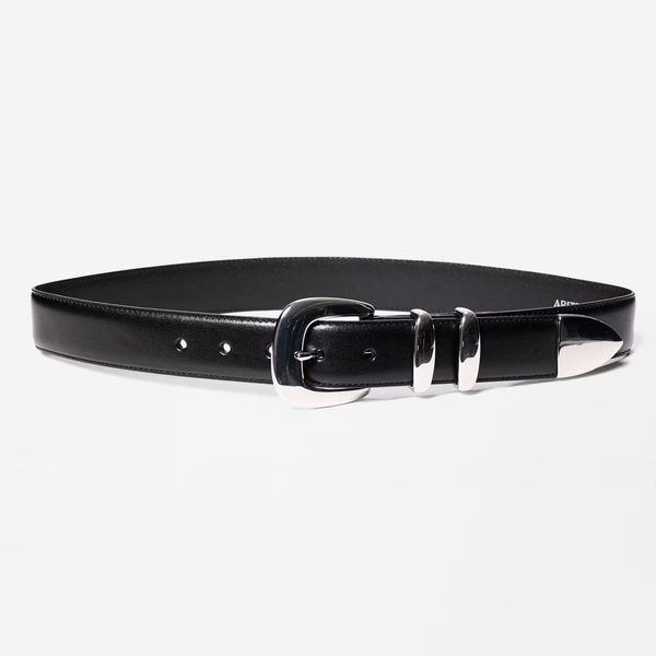 Aritzia Legendary Solid Brass Leather Wide Belt