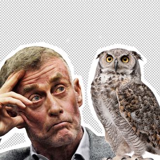 Michael Peterson, an owl.