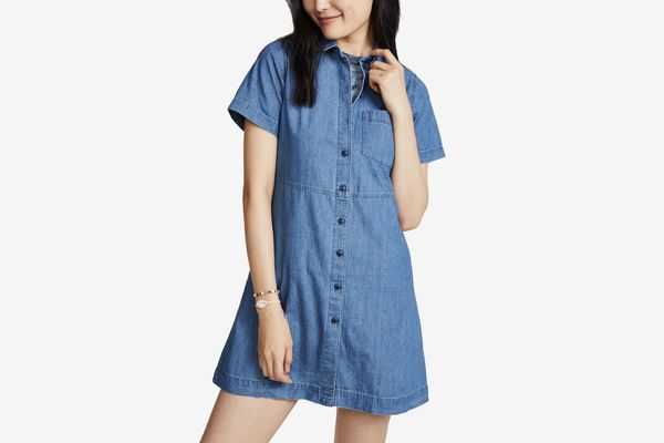 Madewell Fit and Flare Shirtdress