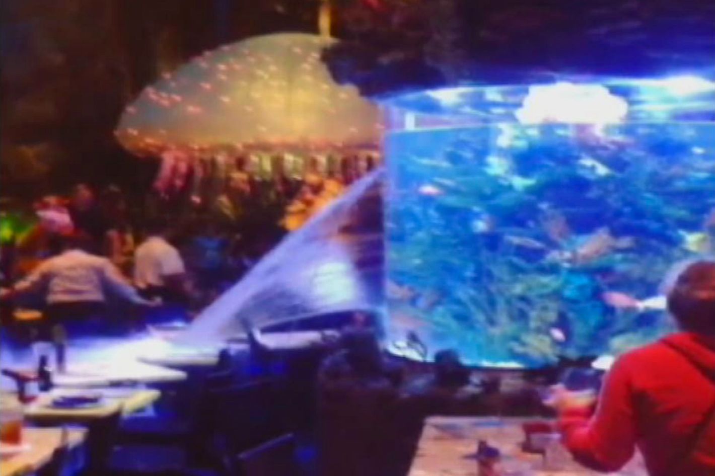 Giant fish tank bursts in a Disney restaurant, sprays water all over  patrons!