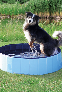 Trixie Portable Dog Splash Pool