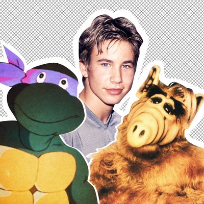 L to R: Donatello the Teenage Mutant Ninja Turtle, Johnathan Taylor Thomas, ALF.