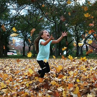 This Has Been the Hottest Autumn Ever