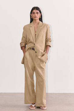 Everlane The Way-High Drape Pant