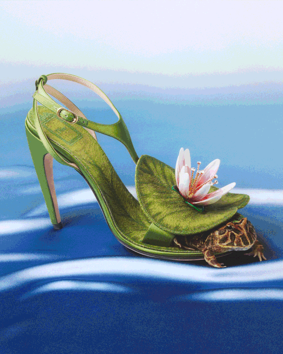 Image for The Shoe Is the Outfit