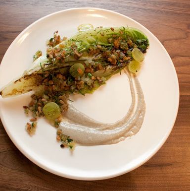 Romaine Alla Plancha, Ajo Blanco, Sunflower, Pickled Green Tomatoes, Croutons