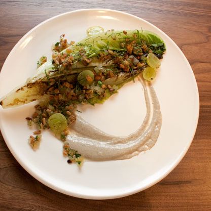 长叶莴苣，阿霍布兰科，向日葵，腌绿番茄，面包丁