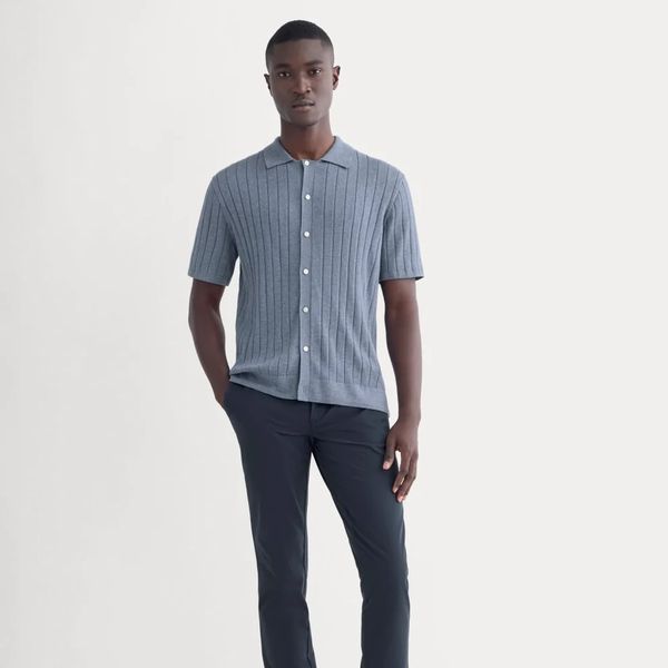 Everlane The Performance Chino