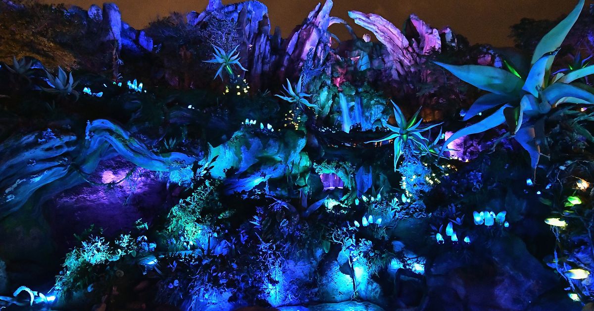 Fødested aspekt trappe James Cameron Wants a New 'Avatar 2' Ride at Disney World