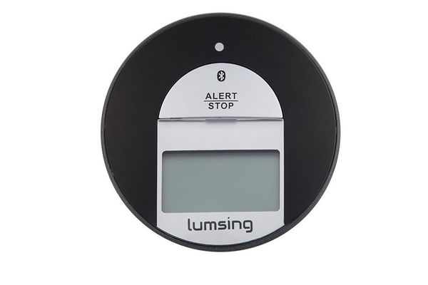 Lumsing Bluetooth Cooking Thermometer