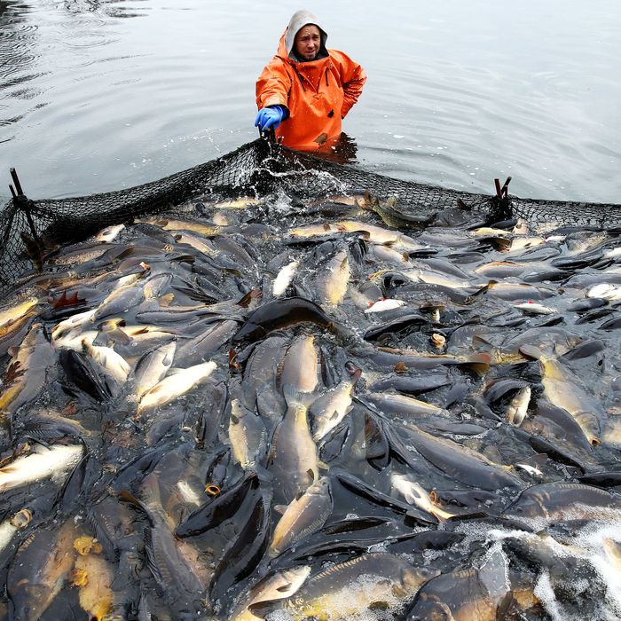 Annually, 32 million tons of fish go unreported.