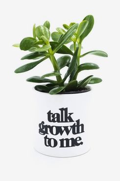 Ceramic Talk Growth to Me Planter