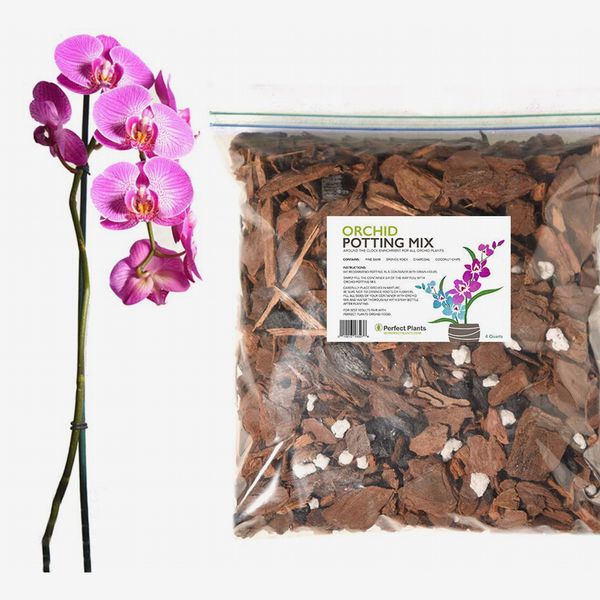 Organic Orchid Potting Mix by Perfect Plants (4qts.)