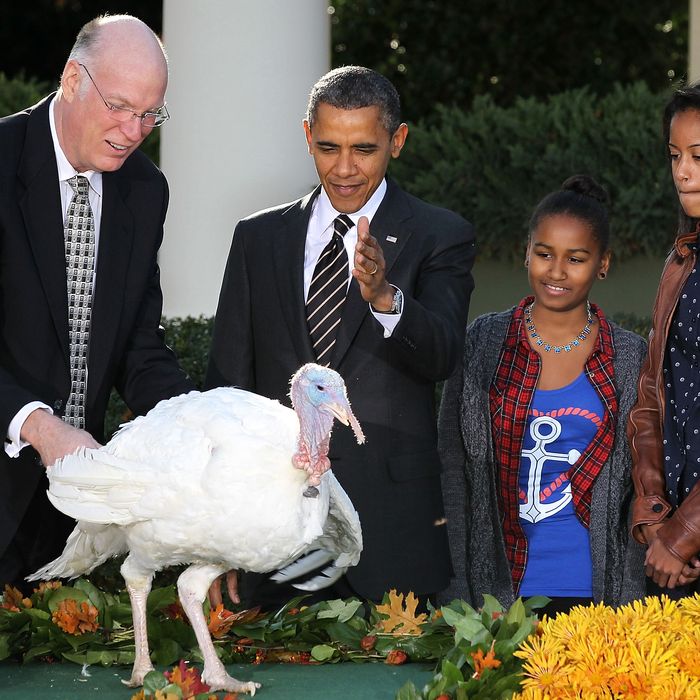 WASHINGTON, DC - NOVEMBER 21: U.S. President Barack Obama (2nd L) pardons the 2012 National Thanksgiving Turkey Cobbler as daughters Sasha Obama (3rd L) and Malia Obama (R), and National Turkey Federation Chairman Steve Willardsen (L) look on during a Rose Garden event November 21, 2012 at the White House in Washington, DC. Cobbler and its companion Gobbler will spend the rest of their lives at George Washington's Mount Vernon Estate and Gardens in Virginia. (Photo by Alex Wong/Getty Images)