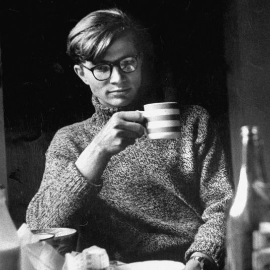 7 Best Organic Coffees The Strategist