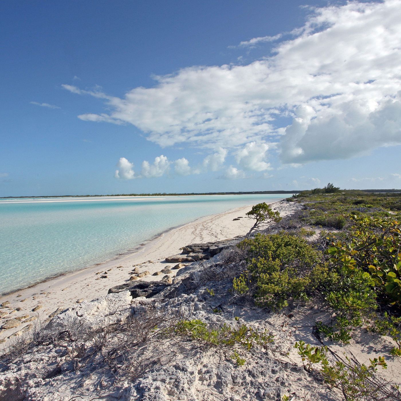 Island for Crypto Elite to Be Built on Fyre Festival Site