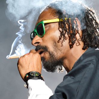 Snoop Dogg smokes while performing at the 2012 Coachella Valley Music and Arts Festival in Indio, California.