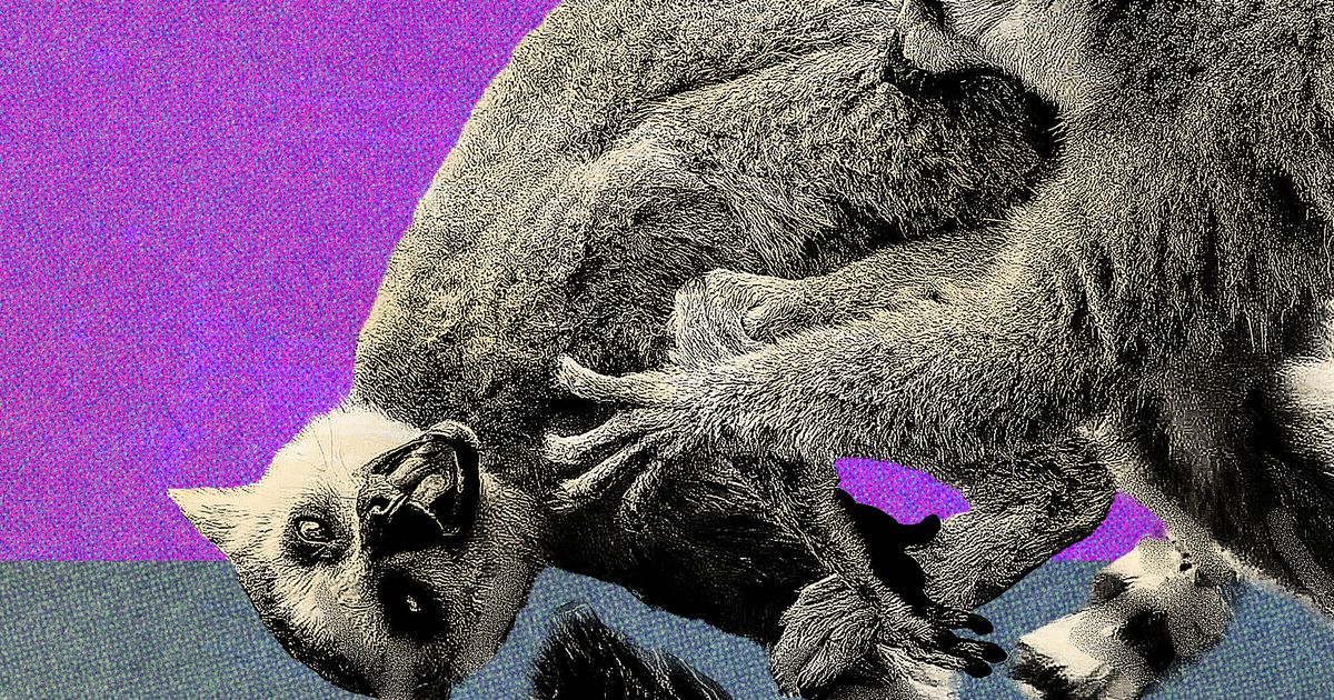 Why Not Let Your Kids Have a ‘Wild’ Summer?