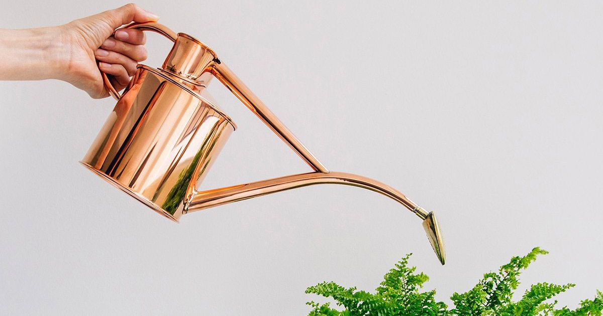 Haws Copper Watering Can Review 2021 The Strategist