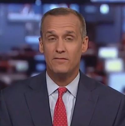 Corey Lewandowski Accused of Being Drunk on TV