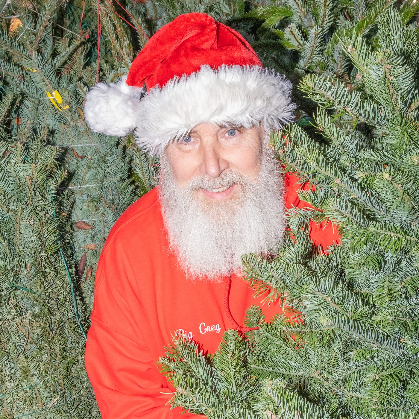 A Multi-Story Christmas Tree Is Towering Over Fifth Avenue