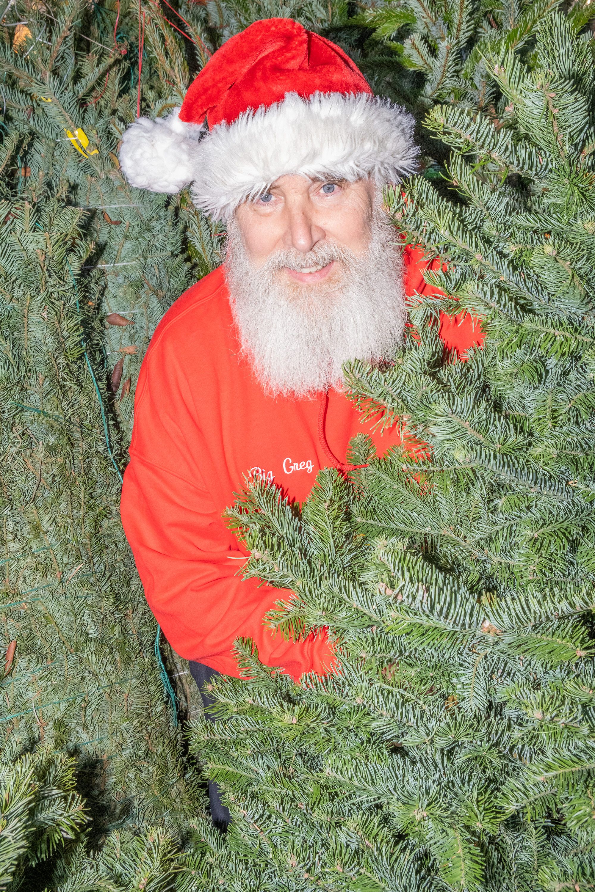 Secrets of the Christmas Tree Trade