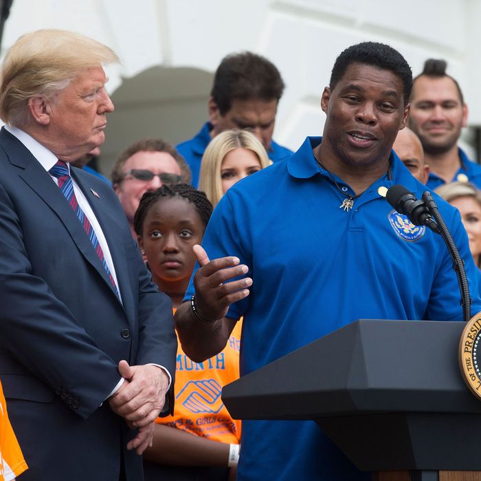 Herschel Walker: the ex-football star running for Senate in