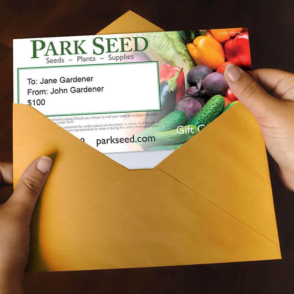 Park Seed Gift Certificate