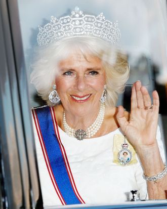 Queen Consort Camilla CallinMelek   C48f4917354eff3f8636aff5303904c9f2 Camilla Parker Bowles.rvertical.w330 