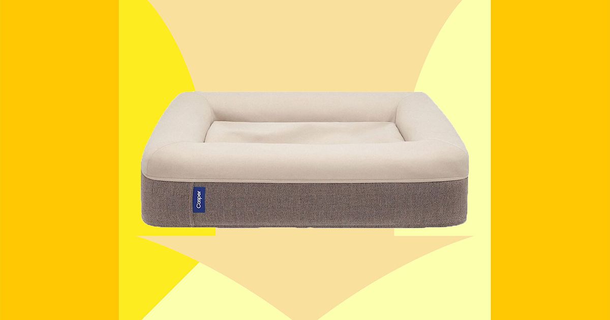 Casper Dog Bed Sale 2022 | The Strategist