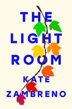 The Light Room, by Kate Zambreno