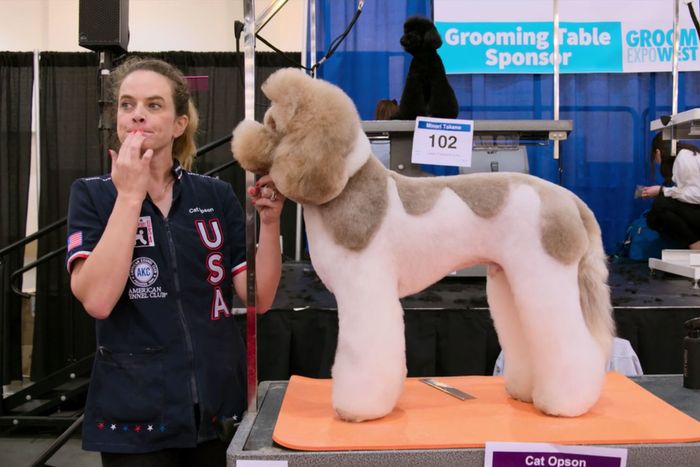 The 18 Best Dogs in Netflix’s Dogs, Ranked