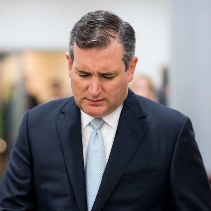 Ted Cruz Blames Staffer For Liking A Porn Video On Twitter 1380