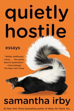 'Quietly Hostile: Essays,' by Samantha Irby