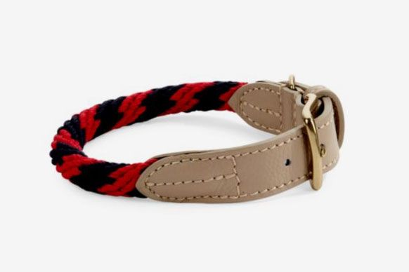 cute dog collars for males