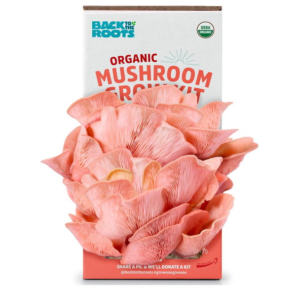 Back to The Roots Organic Pink Miniature Mushroom Grow Kit