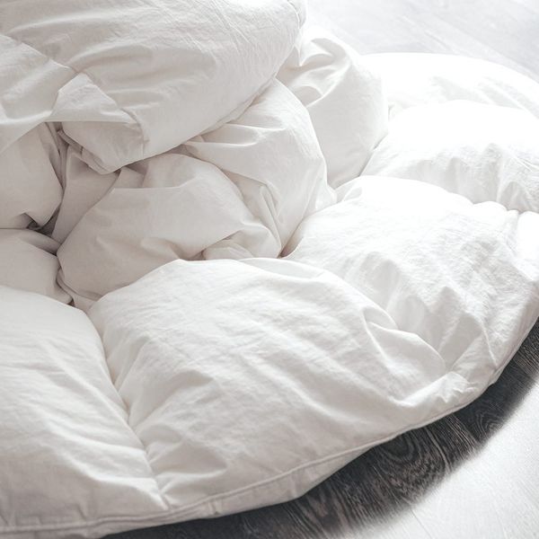 Naturepedic Down Duvet Insert Comforter with Organic Cotton Fabric