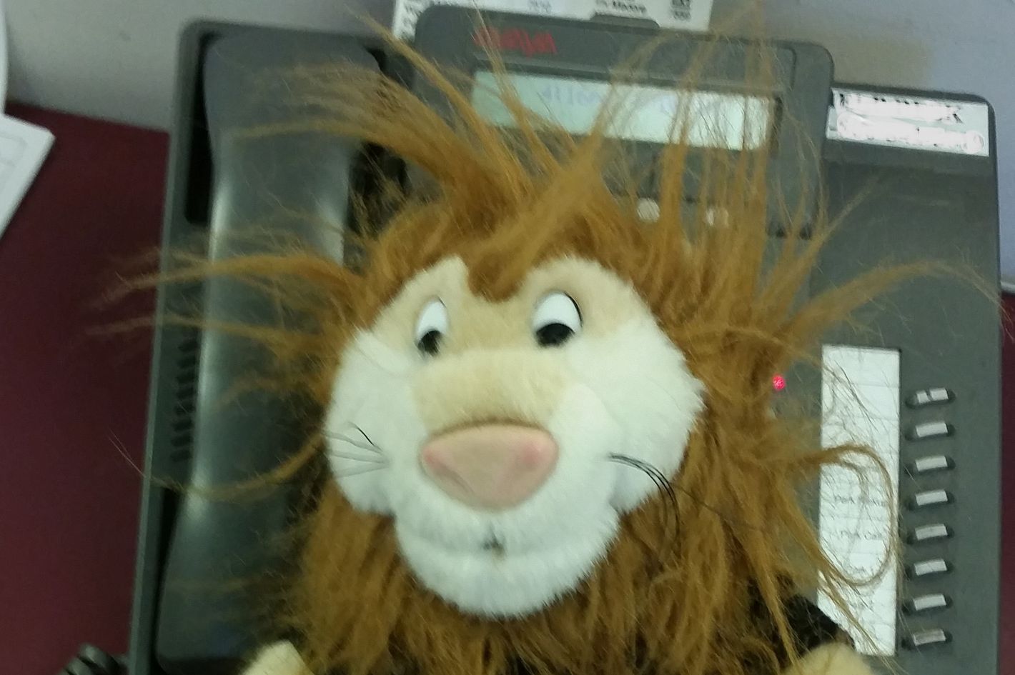 Dare lion hot sale plush