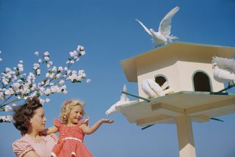 Retro girl feeding white doves in birdhouse