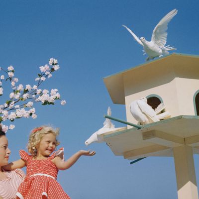 Retro girl feeding white doves in birdhouse