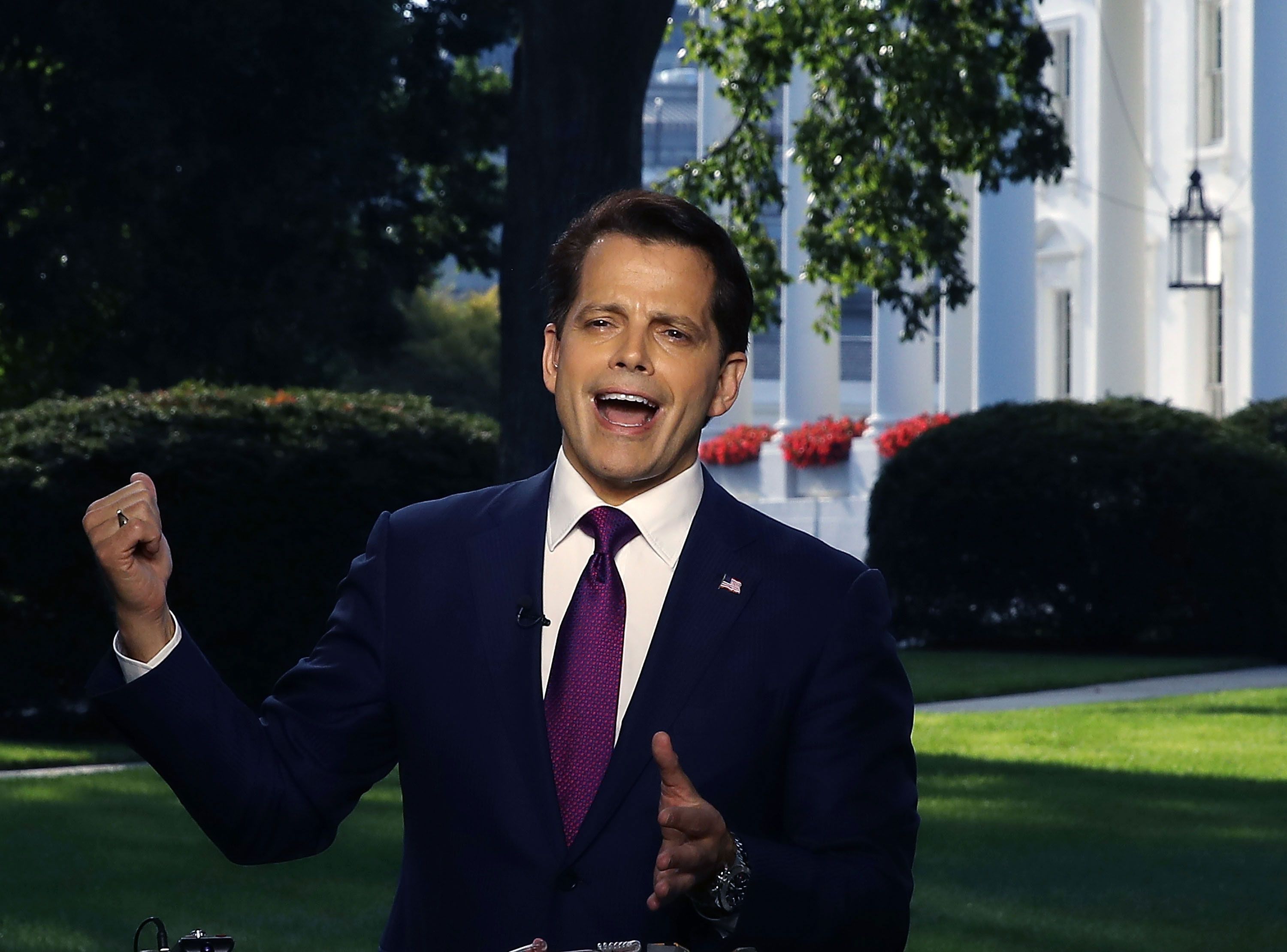 Anthony Scaramucci Unclear on Concept of Legal System