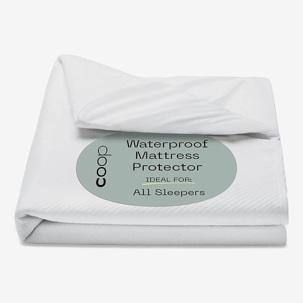 Coop Sleep Goods Ultra Tech Waterproof Mattress Protector - Queen