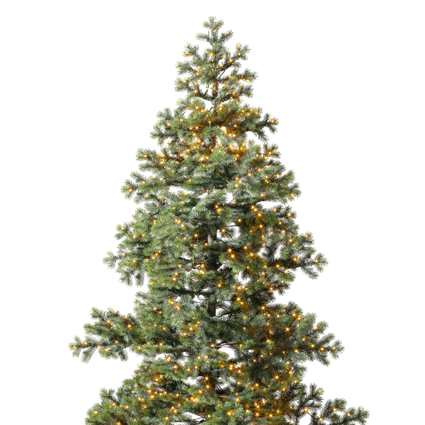 Balsam Hill Yukon Spruce Pre-Lit Artificial Tree