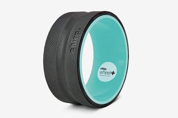 11 Best Foam Rollers 2025 The Strategist