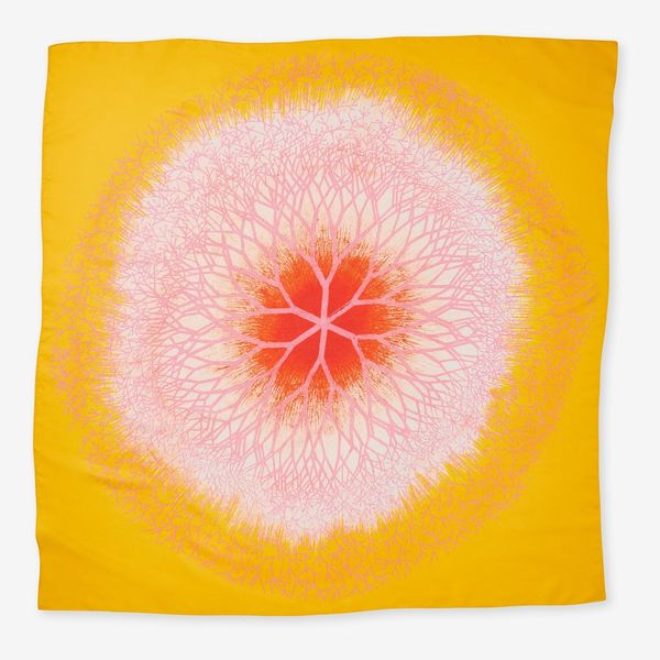 Ruth Asawa Desert Plant Silk Scarf