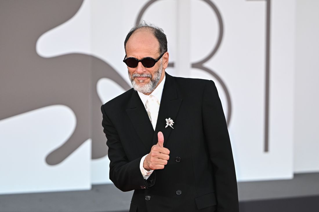 Which DC Superhero Should Luca Guadagnino Adapt?