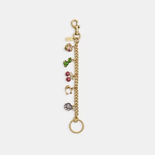 Coach Motif Chain Bag Charm